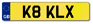 number plate example