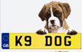 pets related car registrations