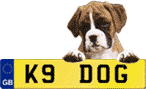 popular cherished plates searches Car Registrations