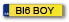 NUMBER PLATE B16 BOY