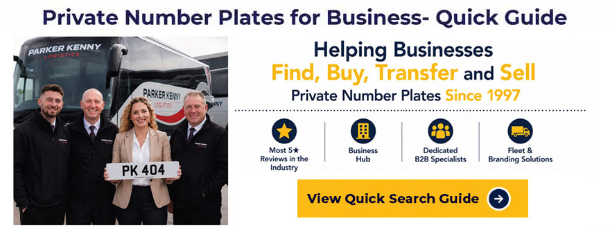 Example Infographic showing Private number plates for business