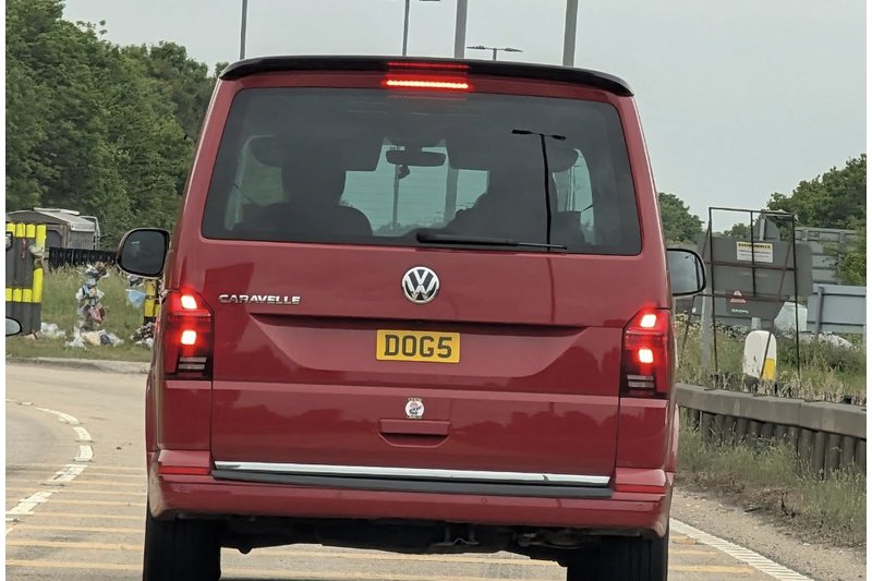 private number plates animal DOG5